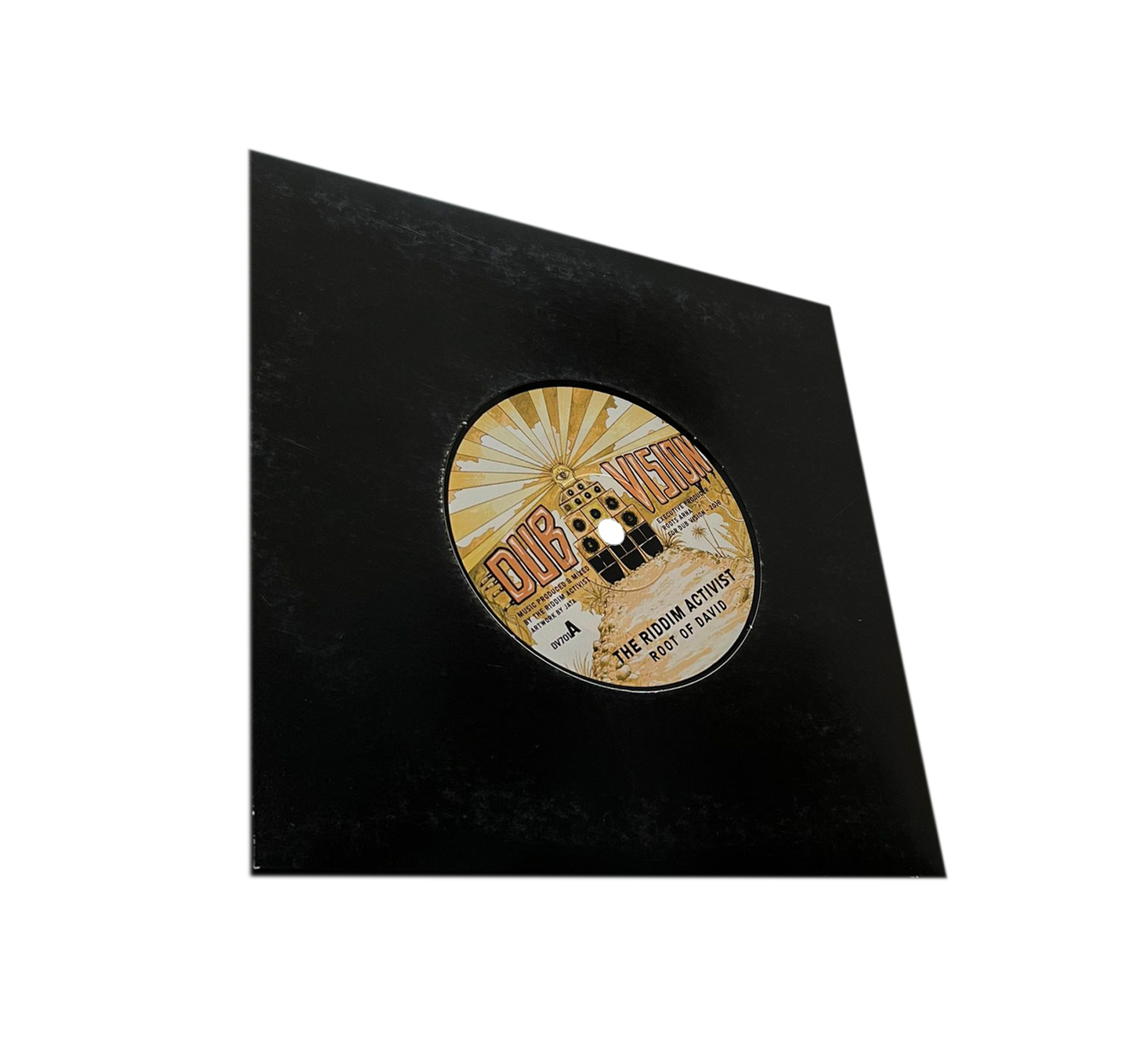 7" DUB VISION / The Riddim Activist