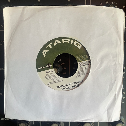 7" Inch MYKAL ROZE, World is in Trouble.