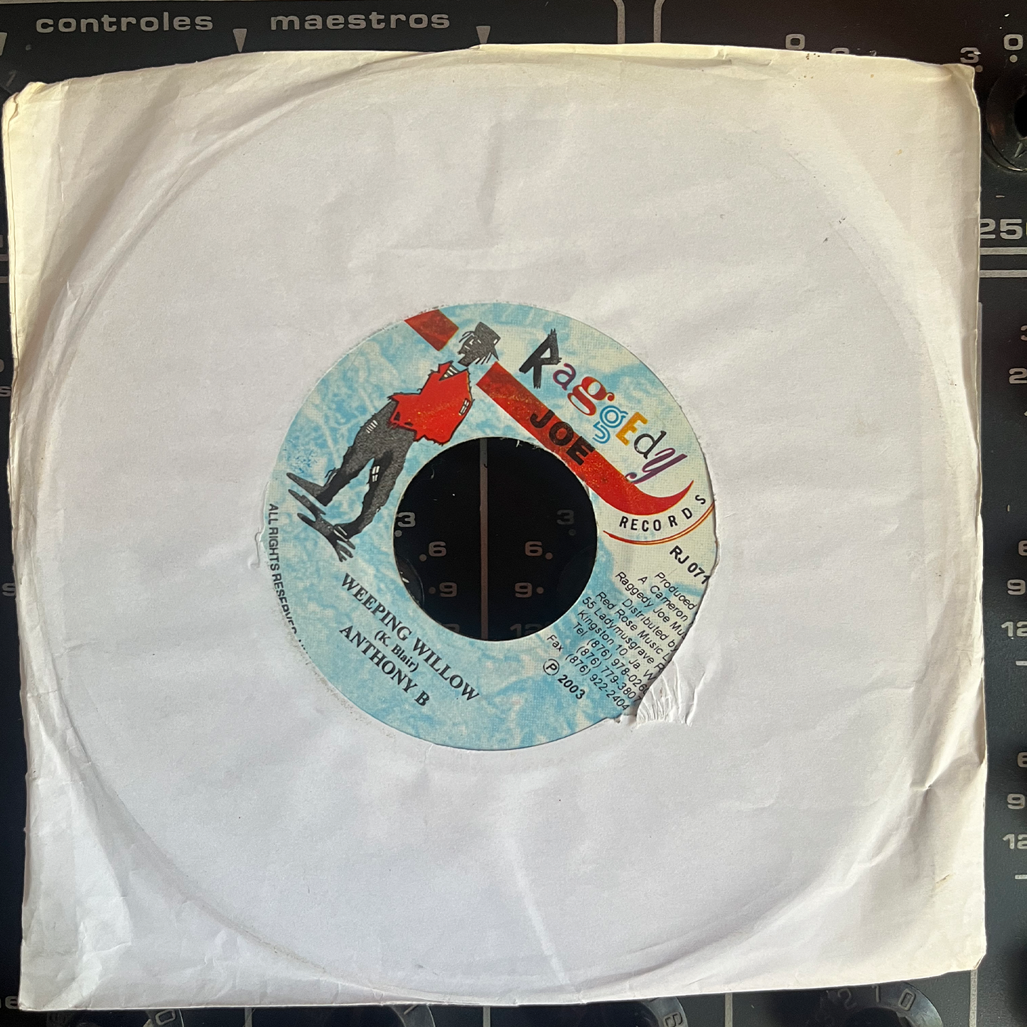 7" Inch ANTHONY B, Weeping Willow.